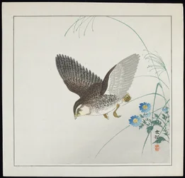 Caille en vol, avant 1912